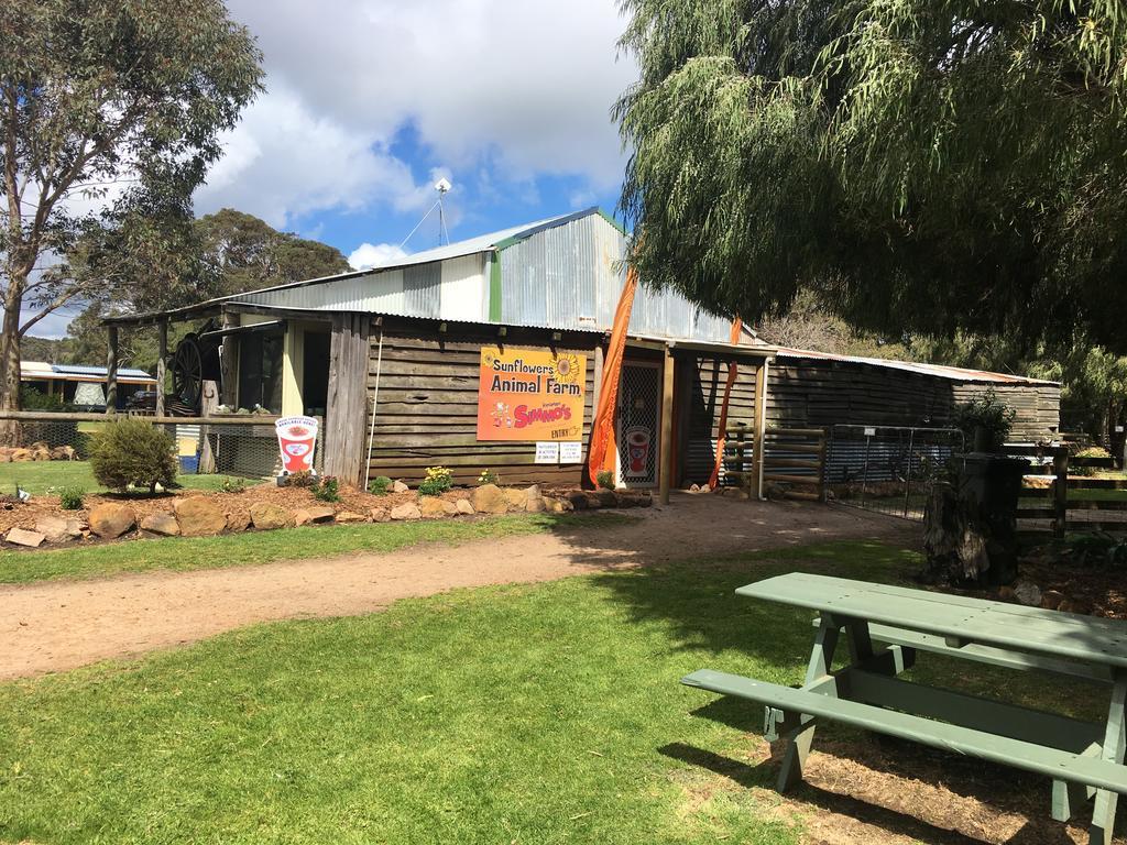 Sunflowers Animal Farm & Farmstay Margaret River Exterior photo